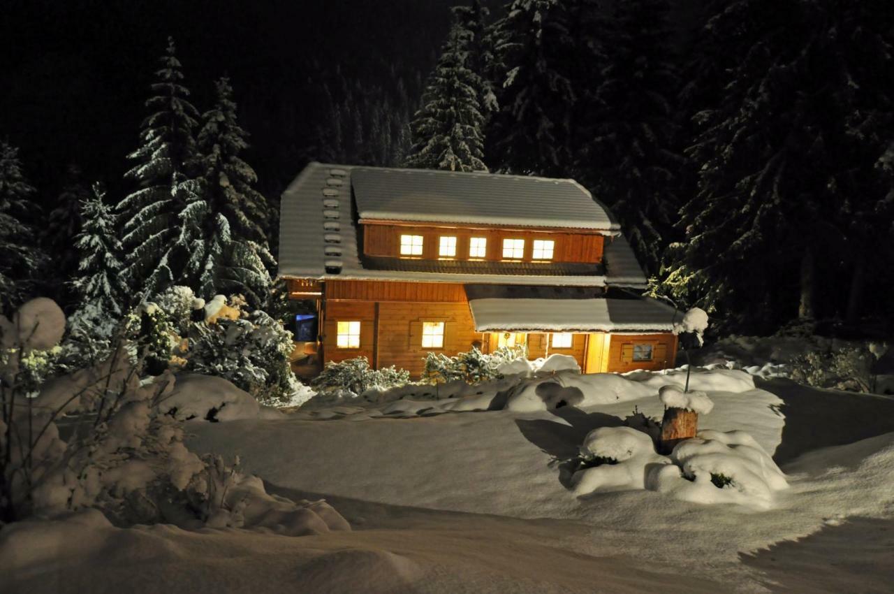 Chalet Styria Villa Donnersbachwald Kültér fotó