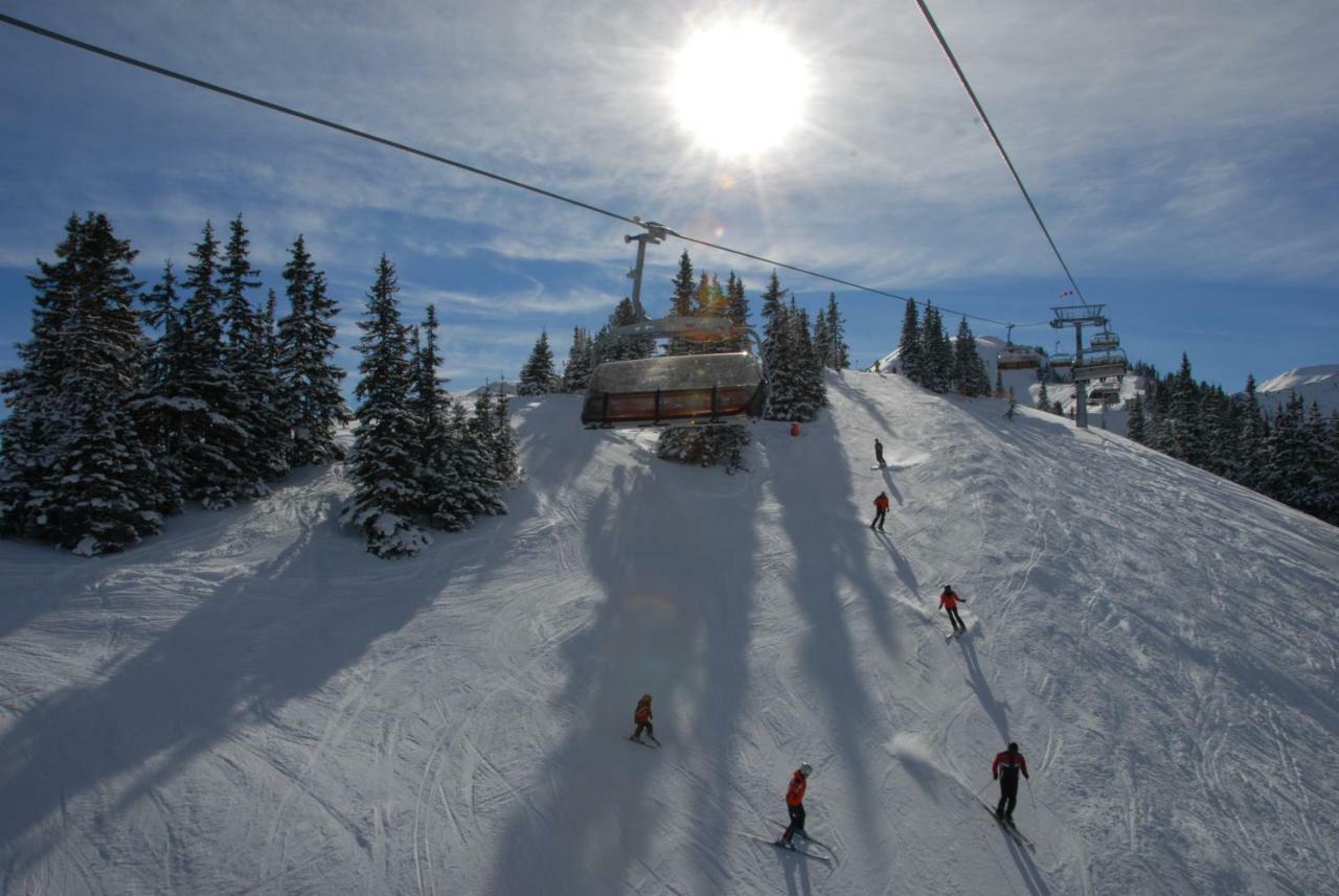 Chalet Styria Donnersbachwald Kültér fotó